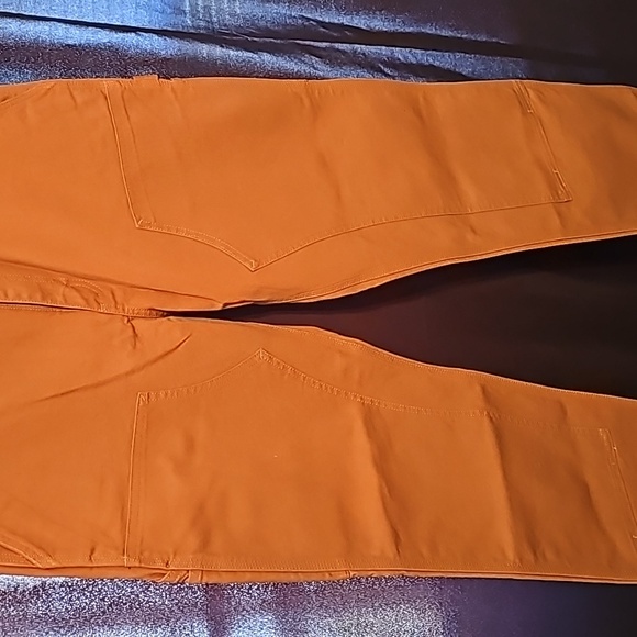 Carhartt Men's Utility Work Pant New - Picture 12 of 13